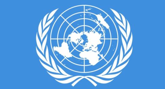 UN Reports Are Not Widely Read, Says UN Report